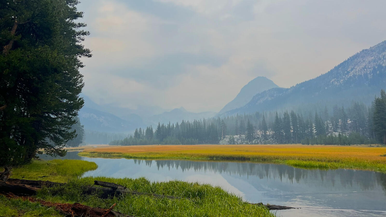 Evolution Valley Evolution Valley